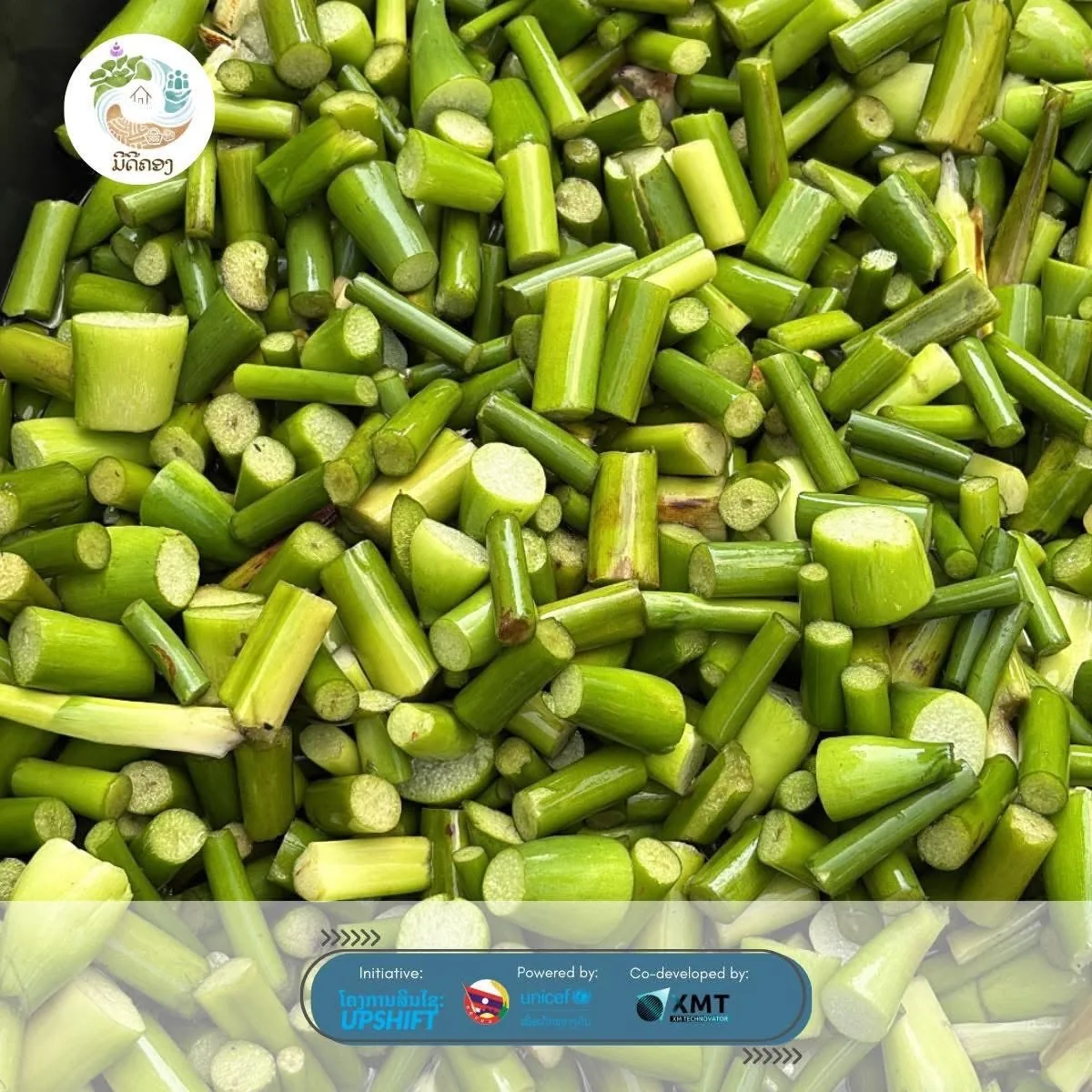 MediKhong (ມີດີຄອງ)