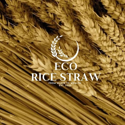 Eco Rice Straw