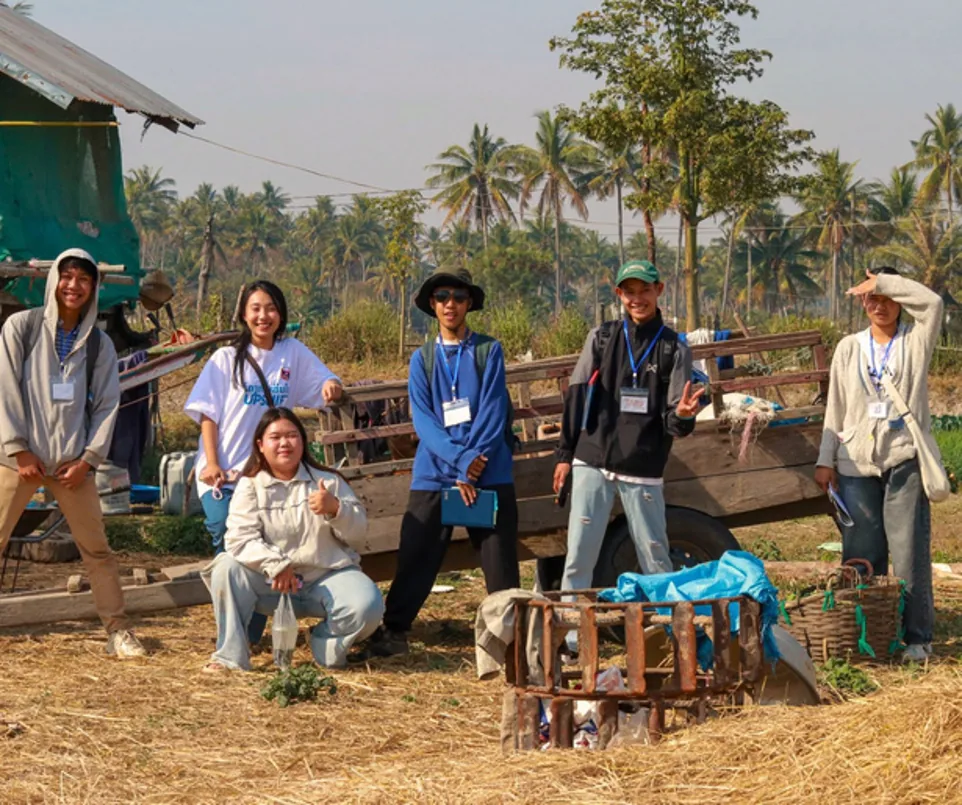 Eco Rice Straw